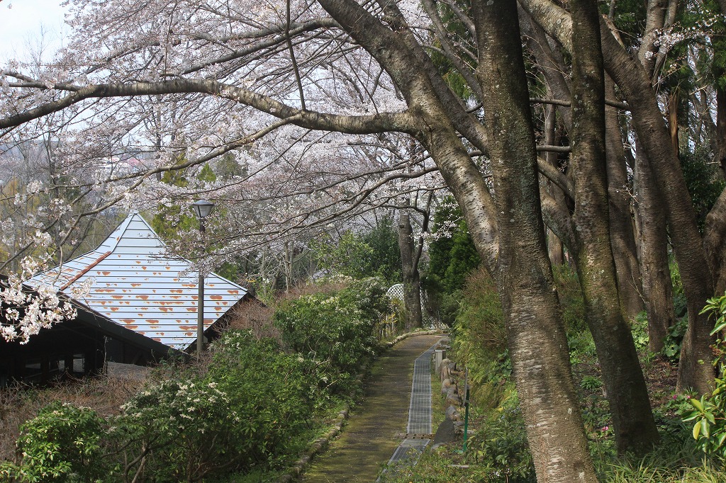 花の工房裏